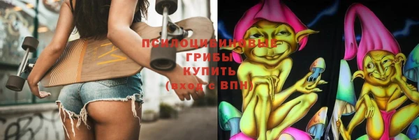 гидра Абаза
