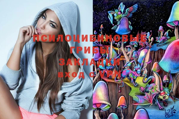 прущие грибы Абдулино