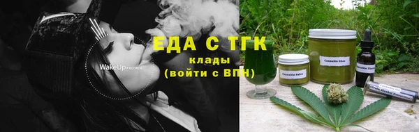 гидра Абаза