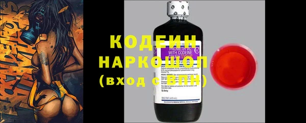 прущие грибы Абдулино