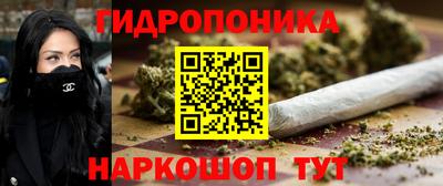 индика Кунгур