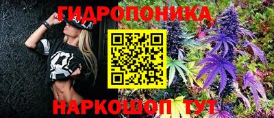 МДПВ Лесосибирск