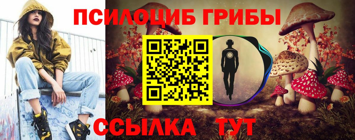 Псилоцибиновые грибы прущие грибы  Вход с VPN  Галлюциногенные грибы Cubensis  Янаул 