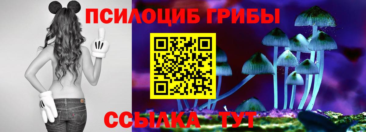 Галлюциногенные грибы прущие грибы Янаул